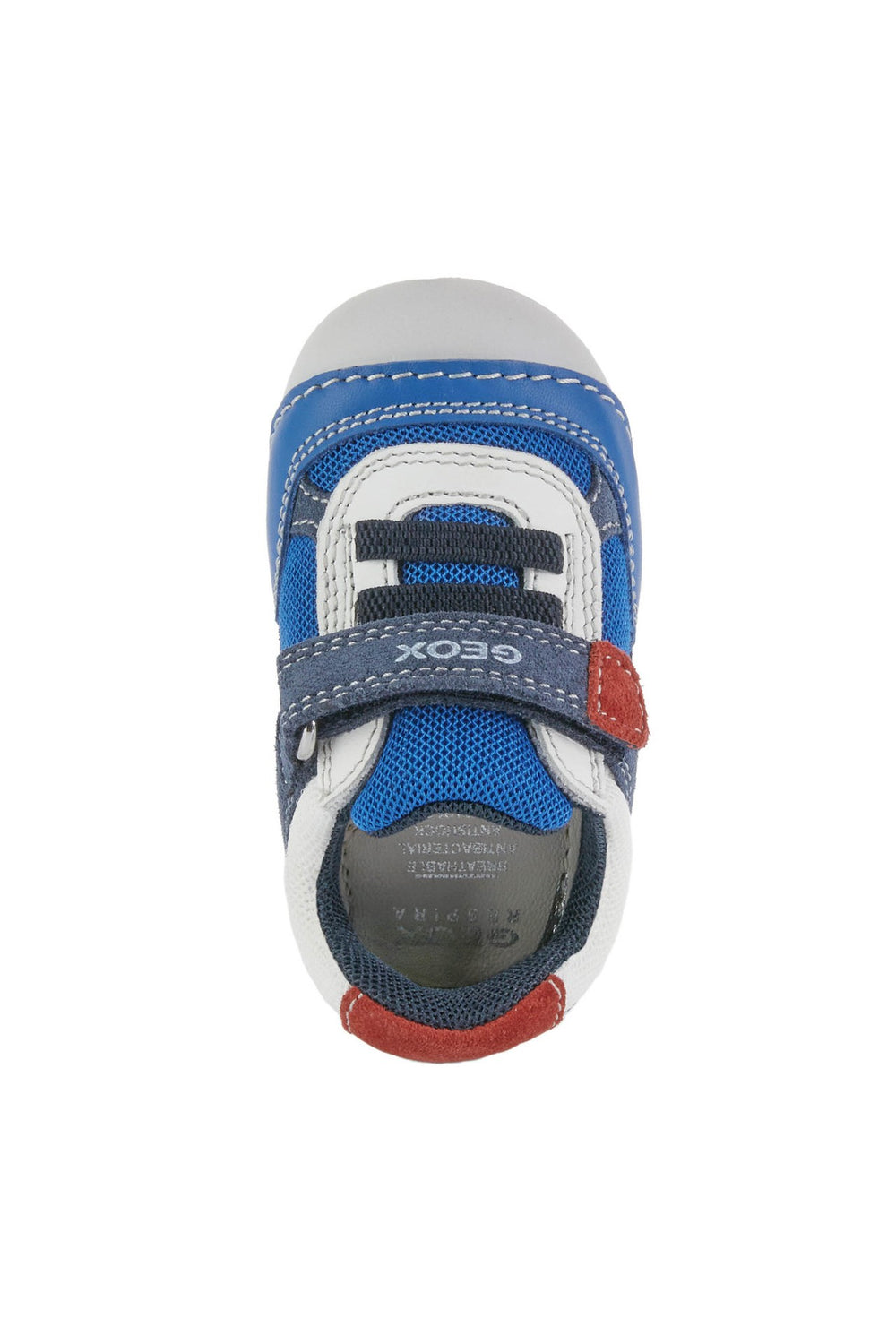 Geox Tutim azul marino rojo