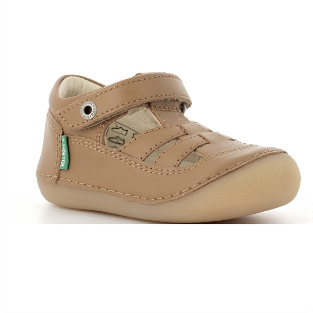 Kickers Sushy Camel Claro