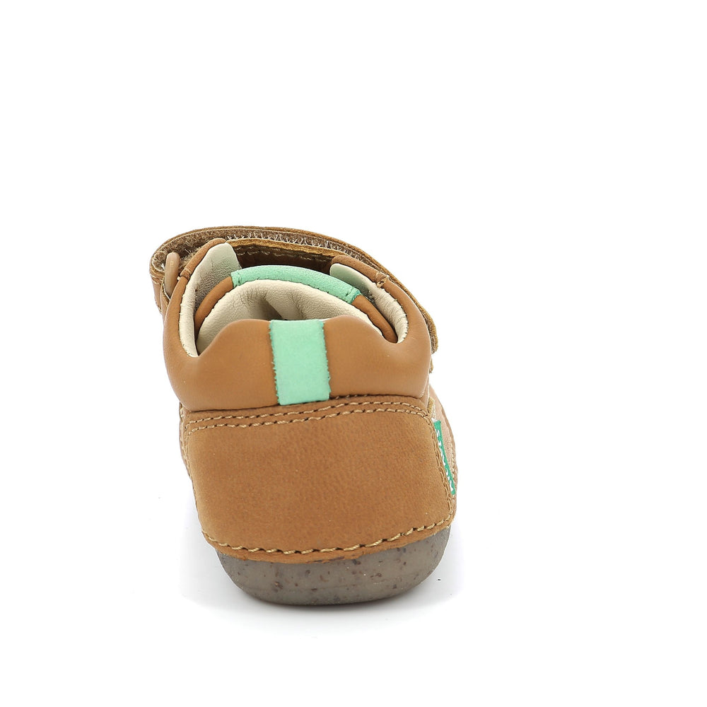 Kickers Sostankro Camel