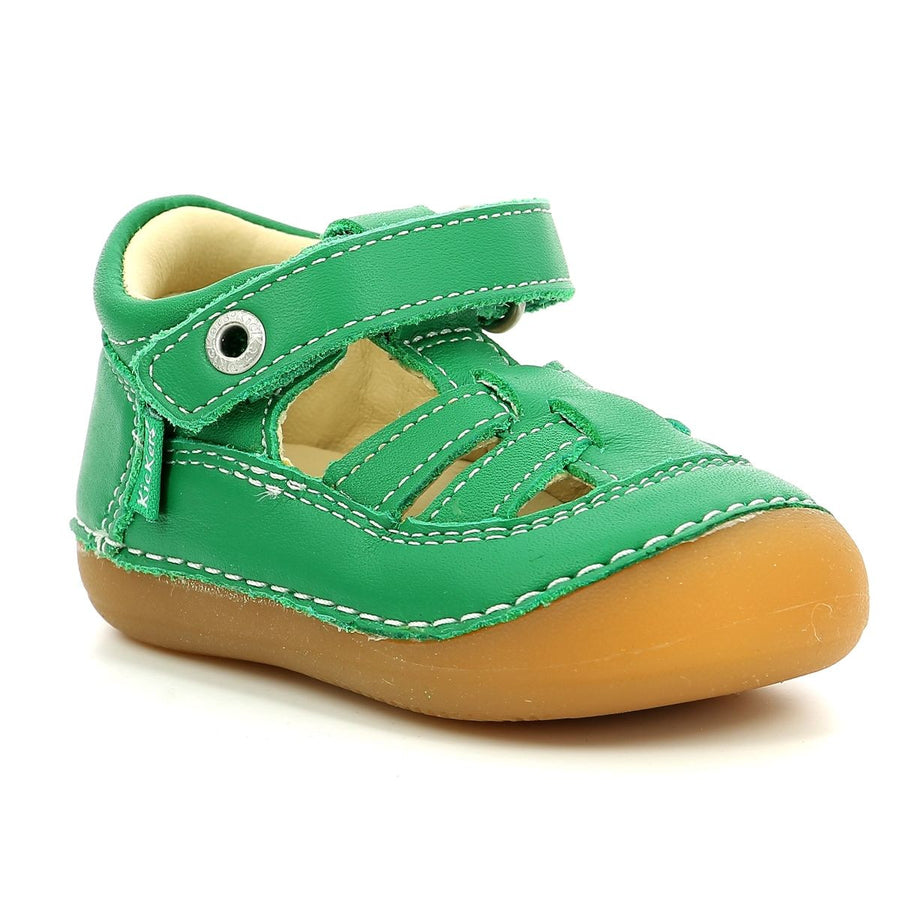 Kickers Sushy Verde