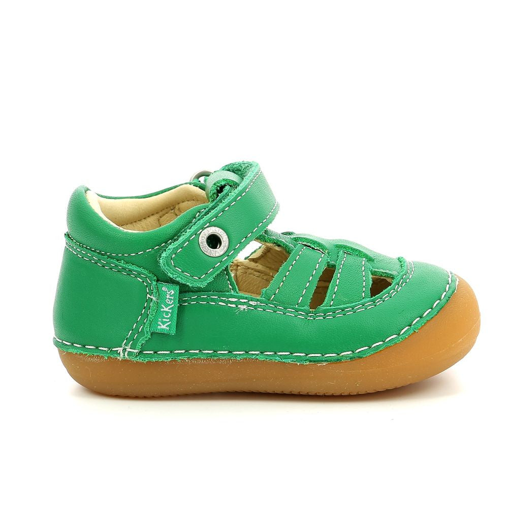 Kickers Sushy Verde