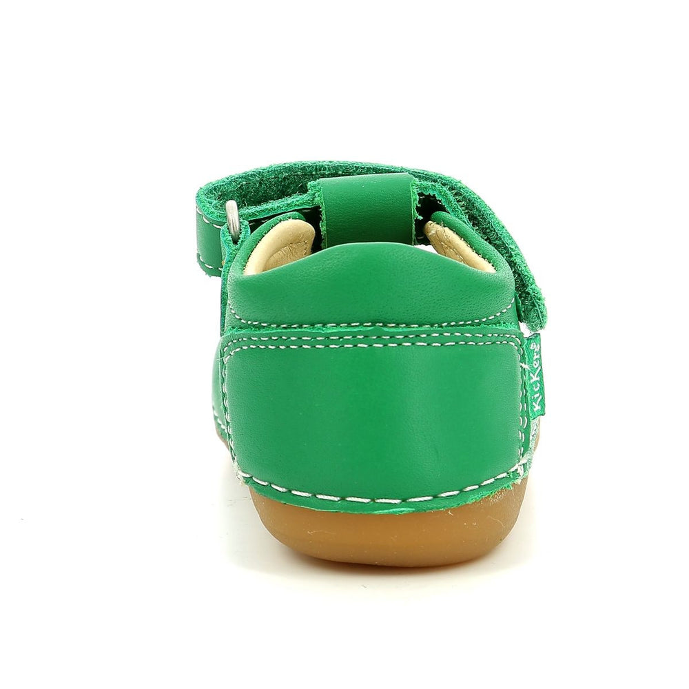 Kickers Sushy Verde