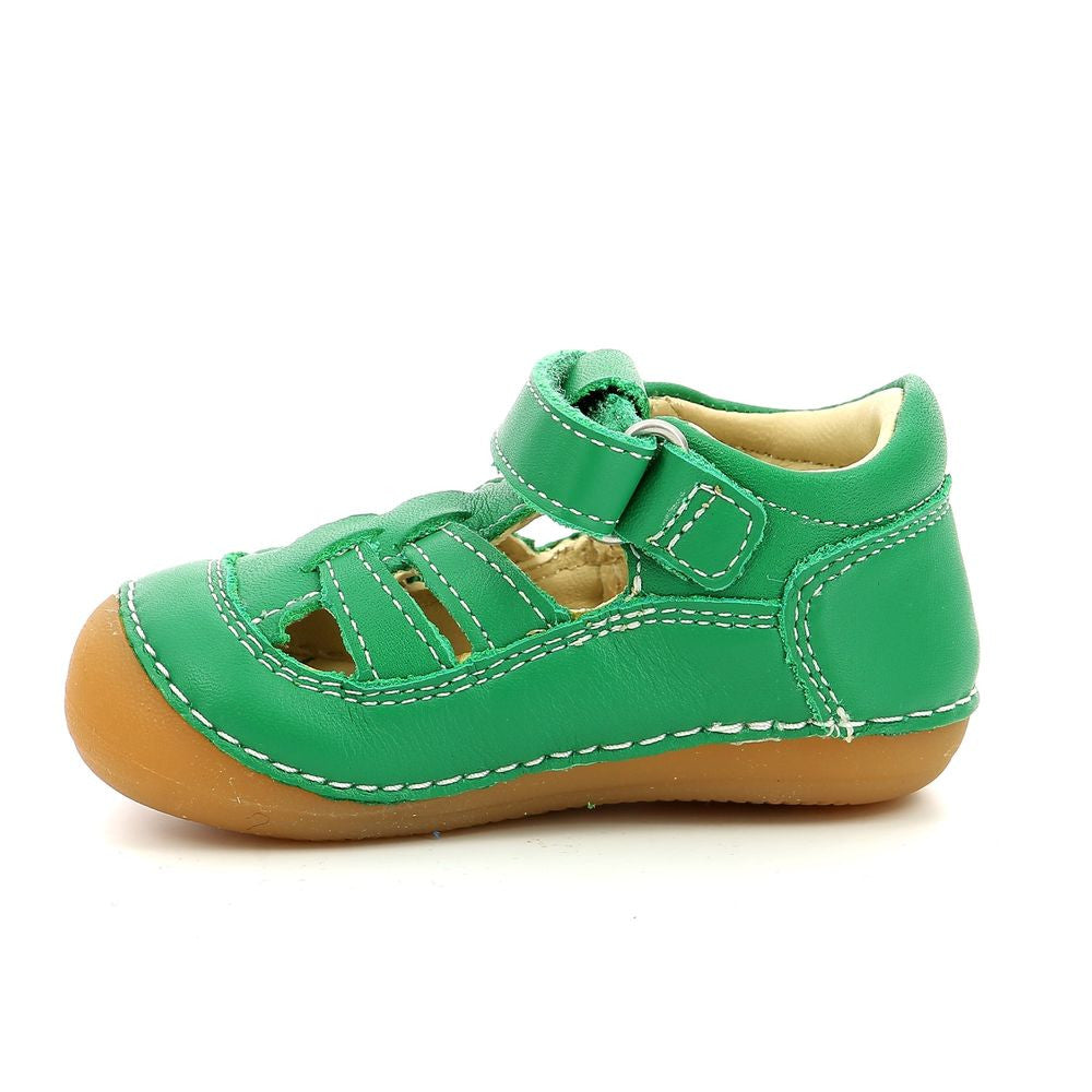 Kickers Sushy Verde