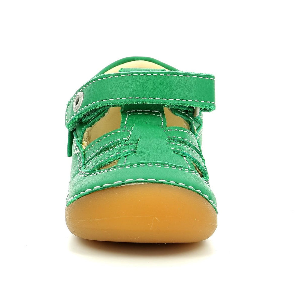 Kickers Sushy Verde