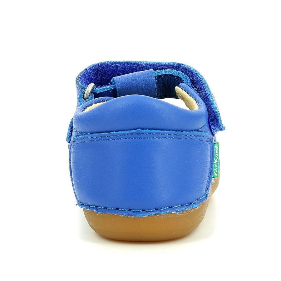 Kickers Sushy Azul