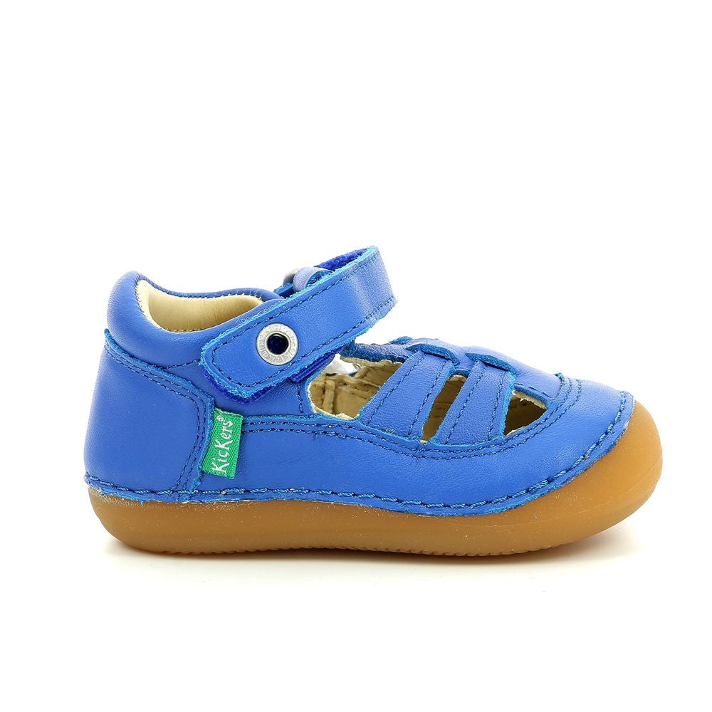 Kickers Sushy Azul