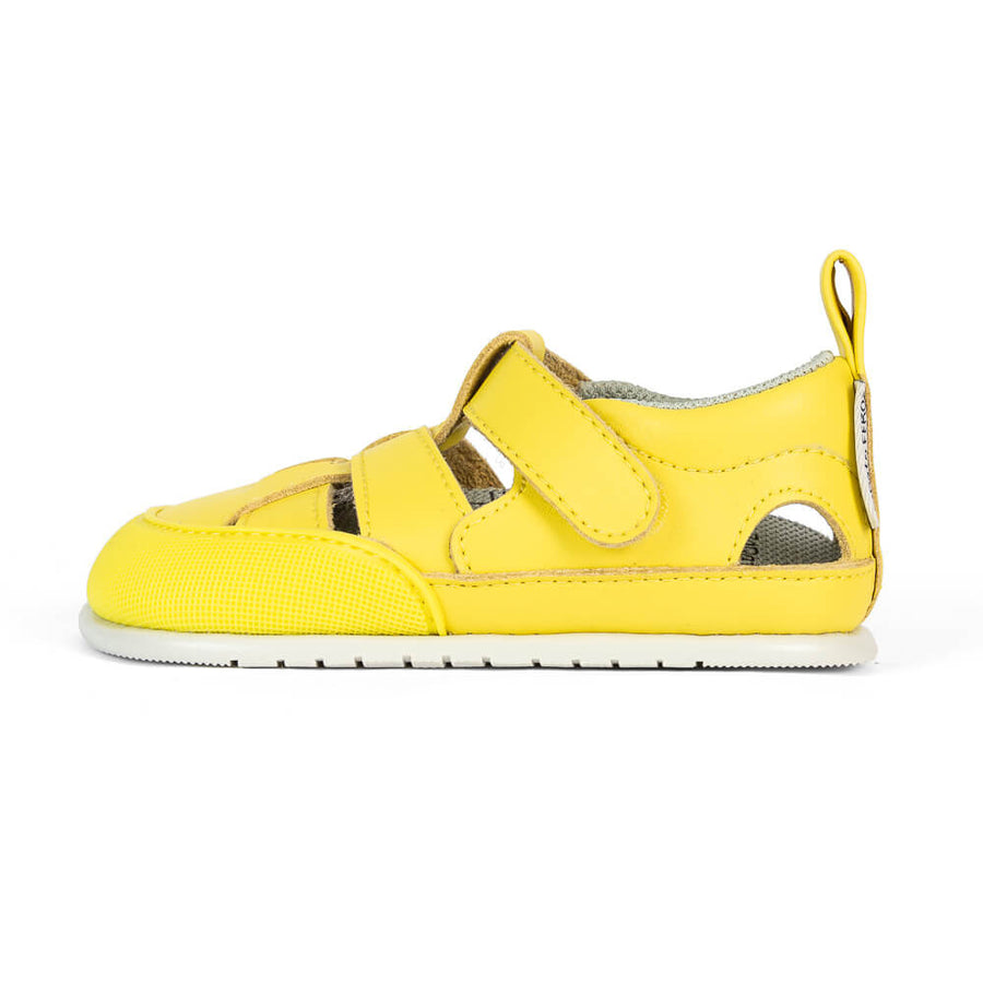 Zapato Feroz Féroces Irta Jaune 2023