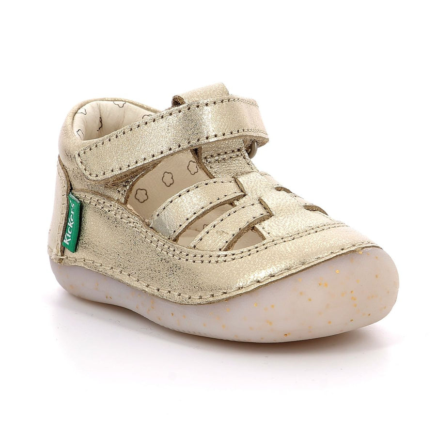 Kickers Sushy Beige Champán