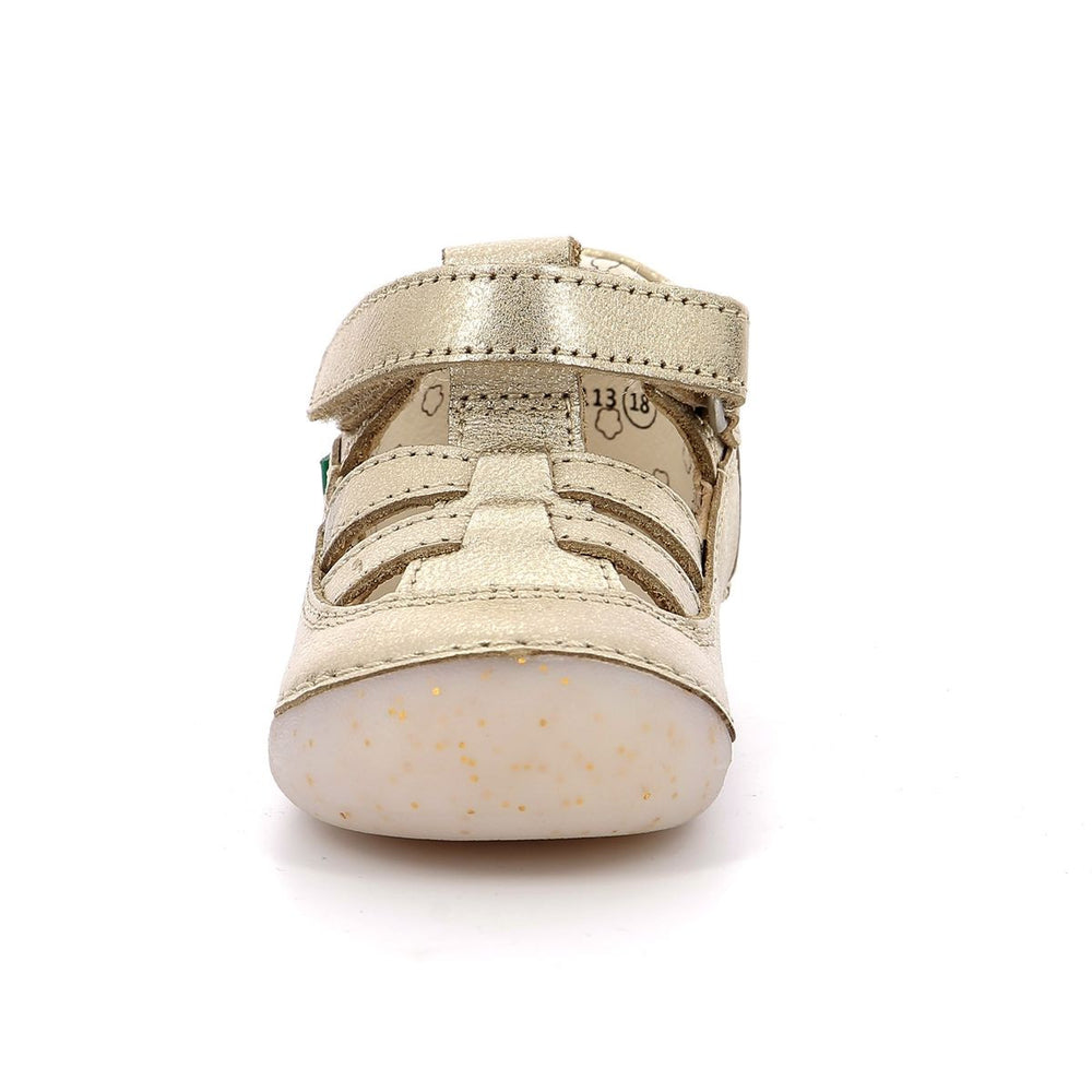 Kickers Sushy Beige Champán