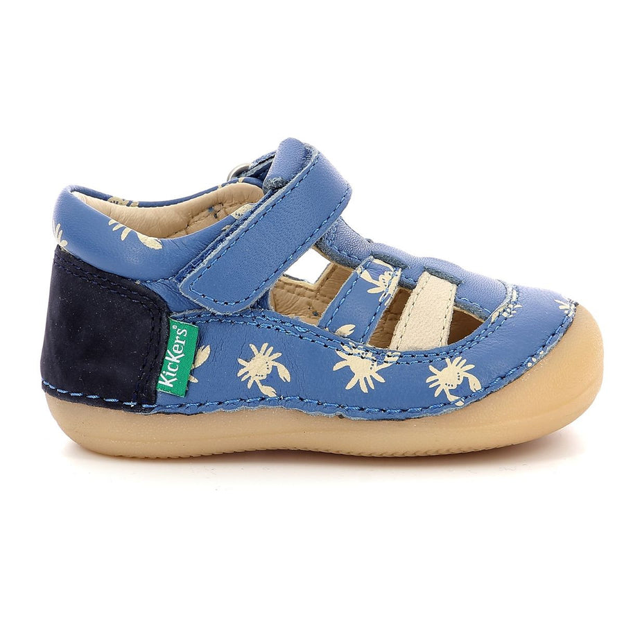 Cangrejos azules Sushy Kickers