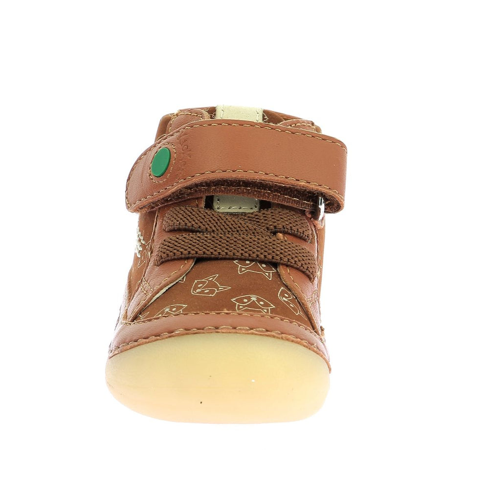 Kickers Sokistic Camel Renard