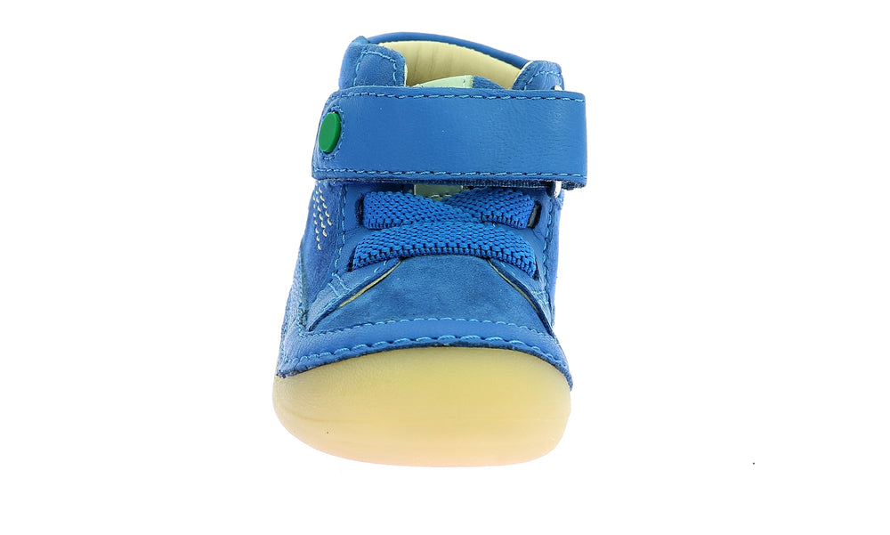 Kickers Sokistic Camel Estrella Azul